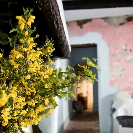 Giamevi House * Vignanello